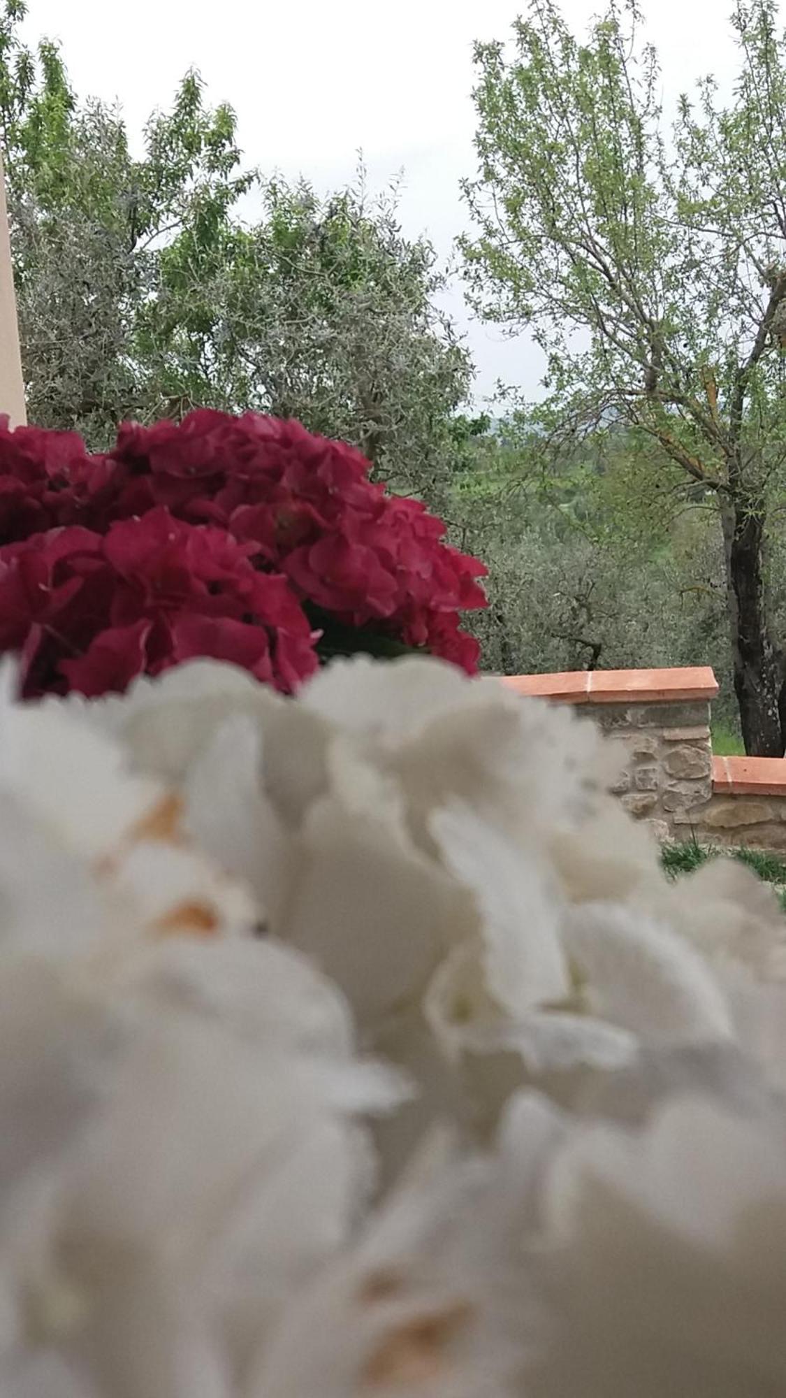 Il Fienile Holiday Home Le Fornacette Экстерьер фото
